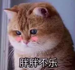 泰国办理电子落地签需求准备什么,泰国电子落地签如何办理